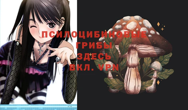 ешки Новокубанск