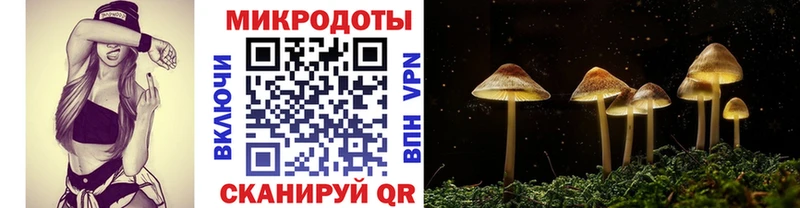 Купить закладки  Отрадная  Псилоцибиновые грибы MAGIC MUSHROOMS